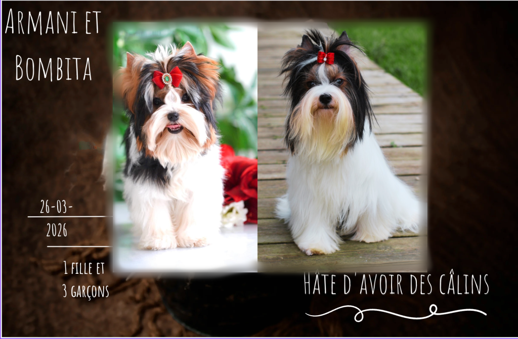 Portée du 26 mars 2026