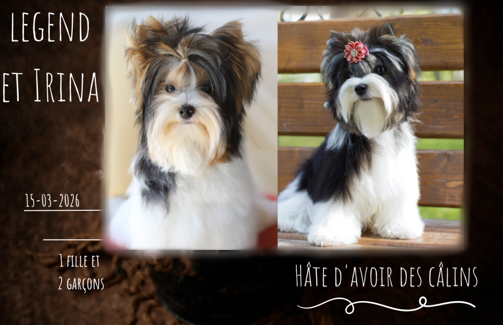 Portée du 15 mars 2026